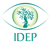 IDEP Foundation IDEP Foundation